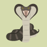 Cobra