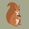 Squirrel
