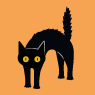 Black Cat
