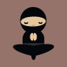 Ninja 1