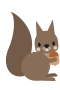 Squirrel