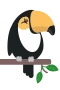 Toucan