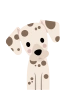 Dalmatian