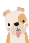 Bulldog