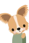 Papillon