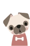 Pug