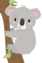 Koala In Tree