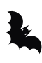 Bat