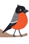 Bullfinch