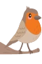 Robin