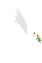 Dove