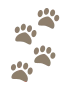 Dog Tracks