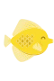 Yellow Tang