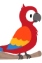 Red parrot