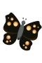 Black butterfly