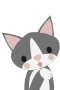 Grey cat