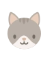 Kitten