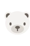 Polar Bear Cub