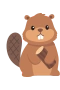 Beaver