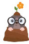 Mole