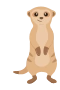 Meercat