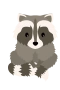 Racoon 2