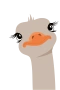 Ostrich
