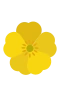 Buttercup