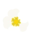 Strawberry Flower