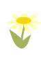 Yellow Flower
