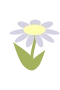 Purple Flower