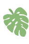Monstera Leaf