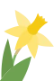 Daffodil