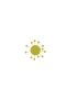 Wood anemone