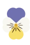 Violet