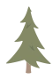 Fir tree