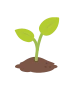 Sprout