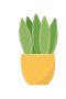 Potted Plant