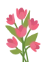 Tulips