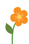 Orange Flower