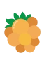 Cloudberry