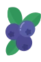 Blueberry