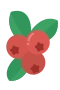 Lingonberry