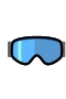 Ski Goggles