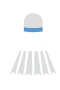 Badminton Ball