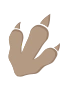 Dino paw 1