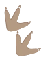 Dino paw 2