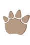 Dino paw 3