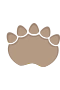 Dino paw 4