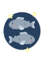 Pisces